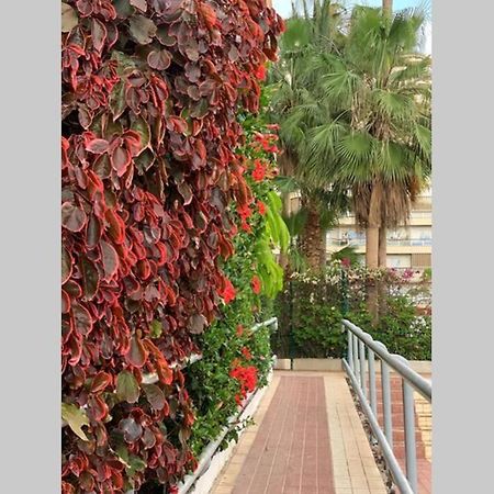 Apartmán Jardines Del Sur, Ocean View Buzanada Exteriér fotografie