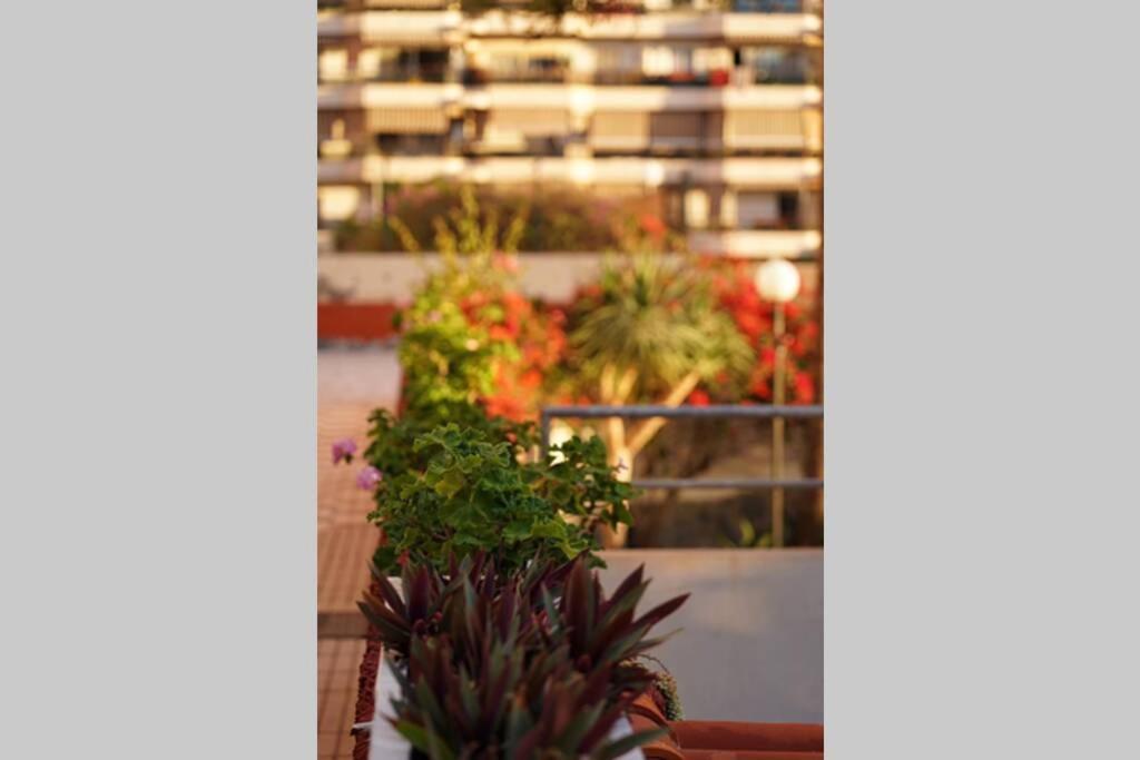 Apartmán Jardines Del Sur, Ocean View Buzanada Exteriér fotografie